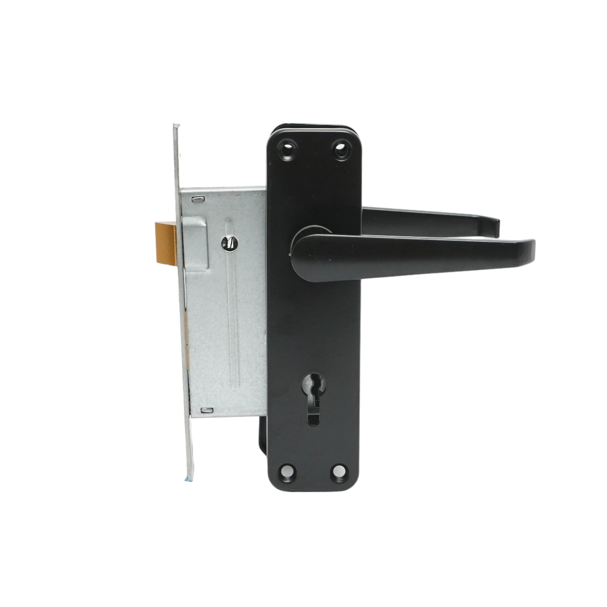 Broasca usa cu silduri negre 57x100x60mm - imagine 4