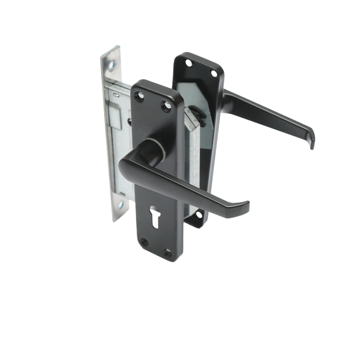 Broasca usa cu silduri negre 57x100x60mm - imagine 3