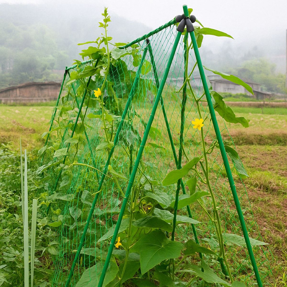 Plasa sustinere plante 1.8x2.7m Breckner Germany - imagine 2