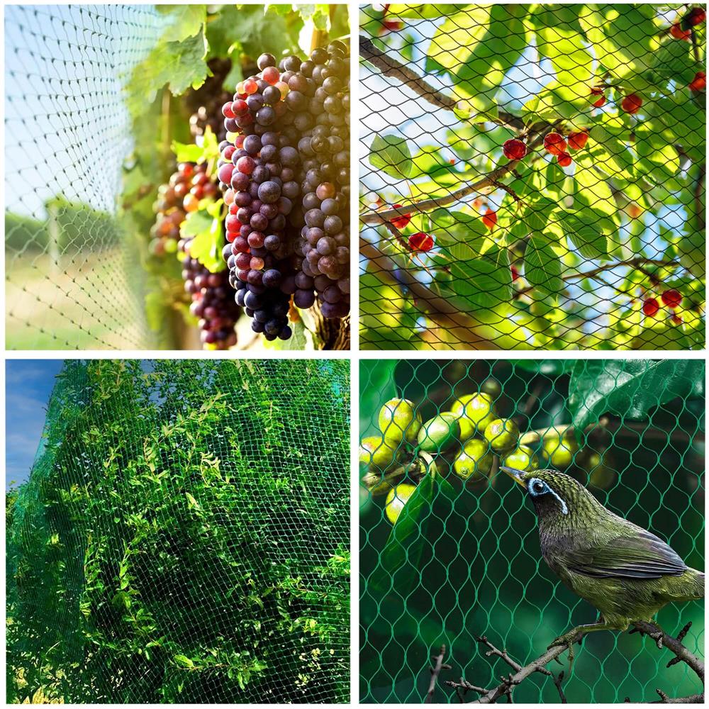 Plasa anti pasari 4x5m verde 8g/m2 Breckner Germany