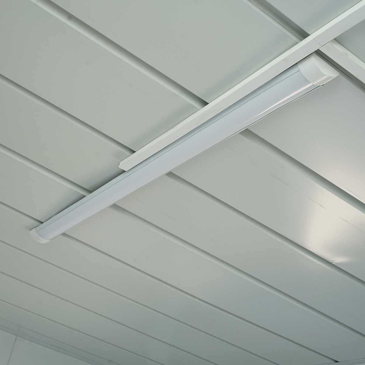 Container tip casa 600x300x290cm cu geam dublu, usa simpla si instalatie electrica - imagine 11