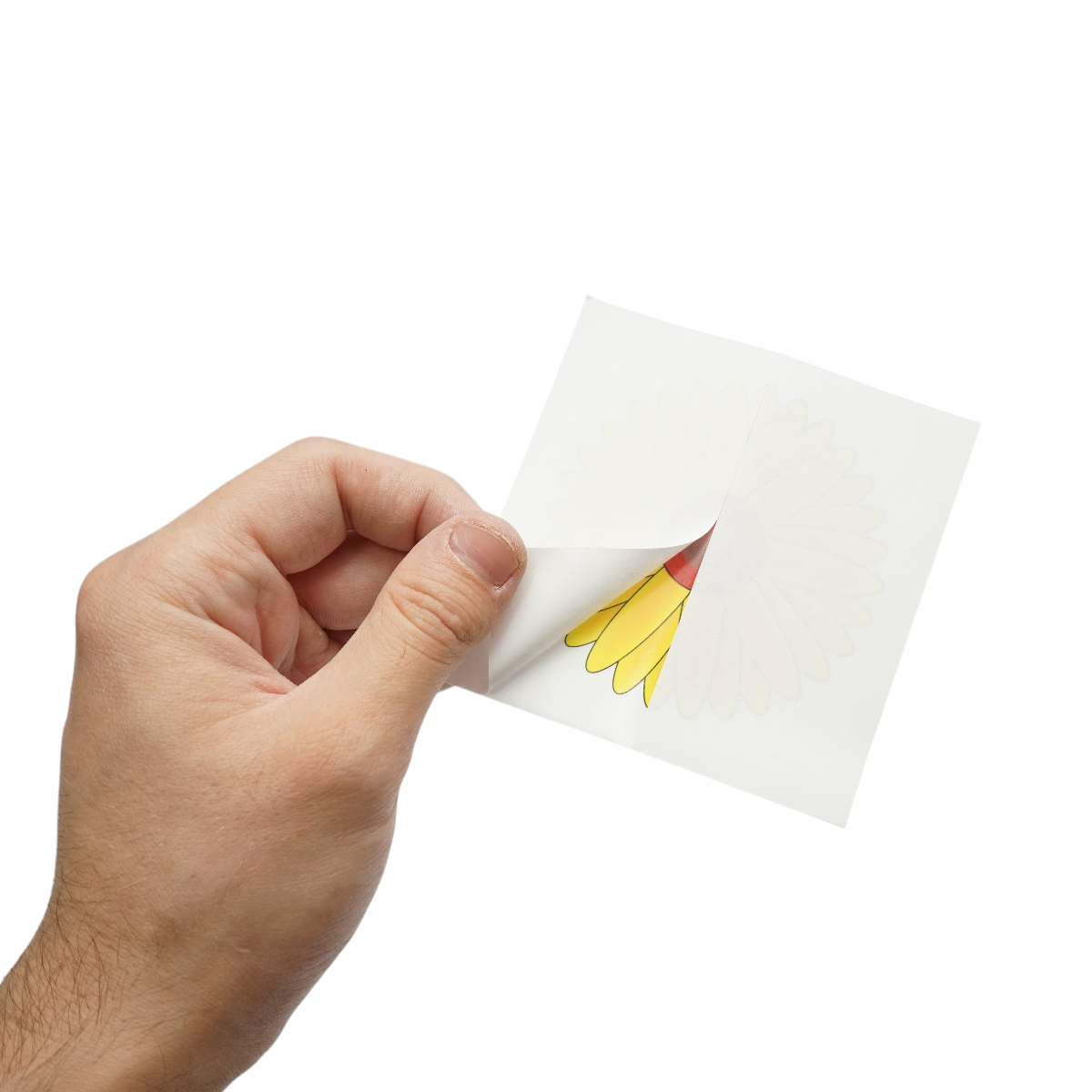 Set 4 capcane adezive cu lipici pentru muste 14x6.5x3.4cm - imagine 3