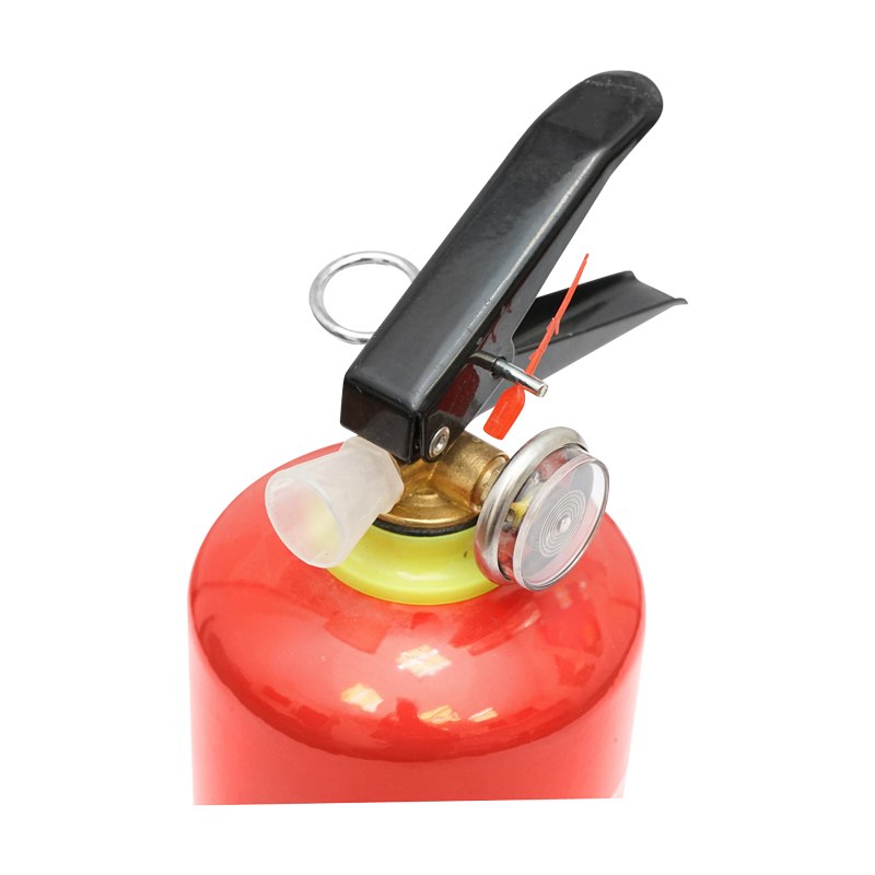 Stingator auto 1kg P1 - imagine 3