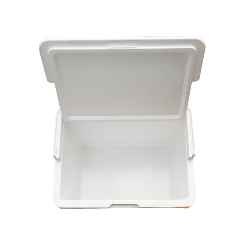 Lada frigorifica pentru picnic 20L albastra 390 x 280 x 310 mm Breckner Germany - imagine 8