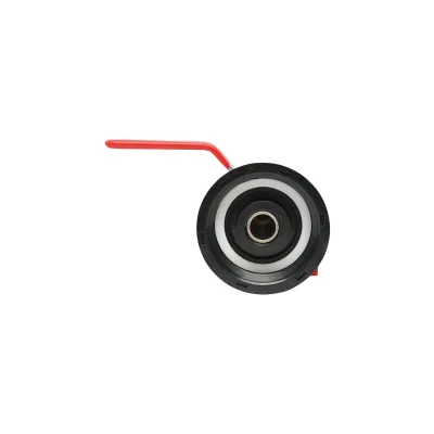 Robinet de scurgere  1/2  alama bazin IBC cu filet int 60 mm - imagine 4