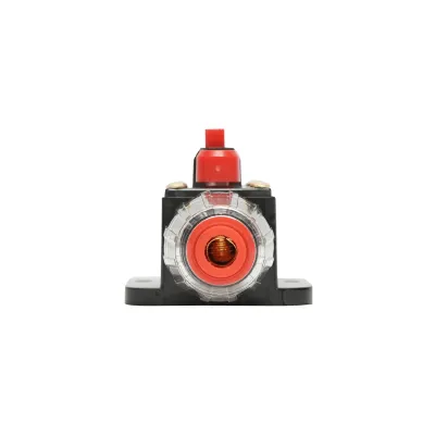 Siguranta automata cu buton reset 60A Breckner Germany - imagine 5