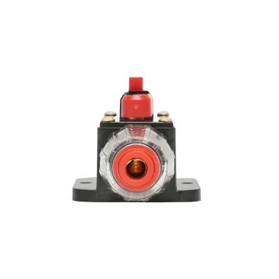 Siguranta automata cu buton reset 80A Breckner Germany - imagine 3