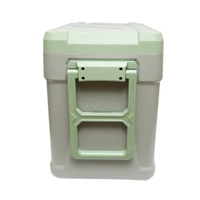 Frigider auto cu compresor 60W, capacitate 64.2L, tensiune alimentare 12-24-220V, ecran LCD, USB, 692x416x585mm G65 AUTOSPEED - imagine 6