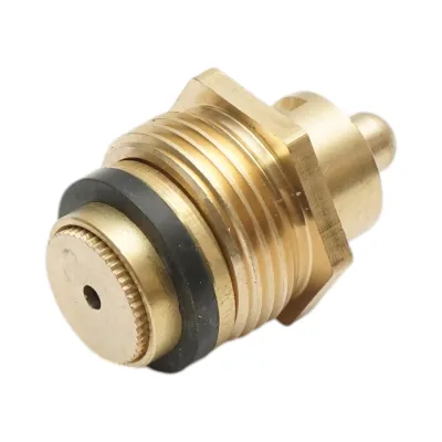 Supapa adapatoare animale cu clapeta 3/4 BSP alama Breckner Germany - imagine 5