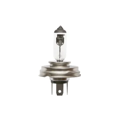 Bec far halogen P45T H4 24V 75x70W