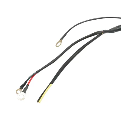 Telecomanda cu cablu 5m pentru pompa basculare - imagine 4