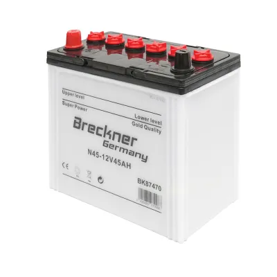 Baterie uscata 12V/45Ah pentru panou solar Breckner Germany - imagine 2