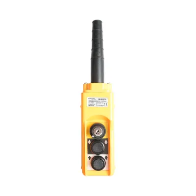 Telecomanda industriala cu 2 comenzi si contact general cu cheie AC 250V/5A-500V/2A Breckner Germany