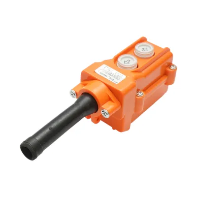 Telecomanda industriala cu 2 comenzi AC 250V/5A-500V/2A Breckner Germany - imagine 3