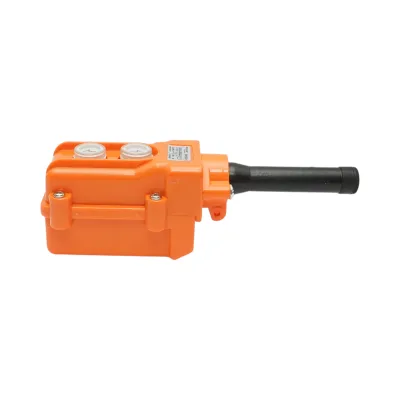 Telecomanda industriala cu 2 comenzi AC 250V/5A-500V/2A Breckner Germany - imagine 4