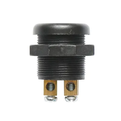 Buton pornire din plastic cu revenire 12-24V DC/10A, 125-250V AC/2A Breckner Germany - imagine 2