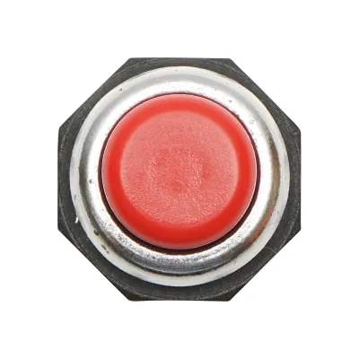 Buton pornire metalic cu revenire 12-24V DC/10A, 125-250V AC/2A Breckner Germany - imagine 3