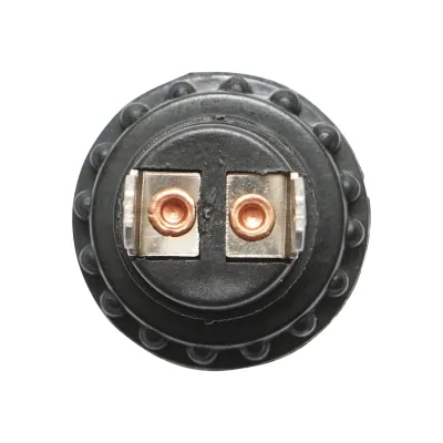 Buton pornire din plastic cu revenire universal 12/24V - imagine 2