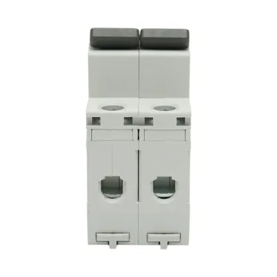 Siguranta automata intrerupator MCB 2P 25A 415VAC Longroad - imagine 2