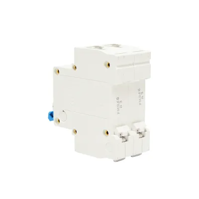 Siguranta automata tip intrerupator 2P-40A-415VAC Leader - imagine 3