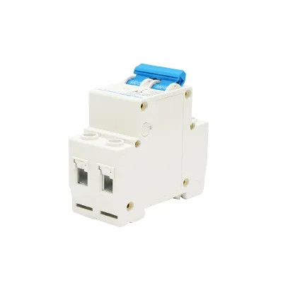 Siguranta automata tip intrerupator 2P-40A-415VAC Leader - imagine 4