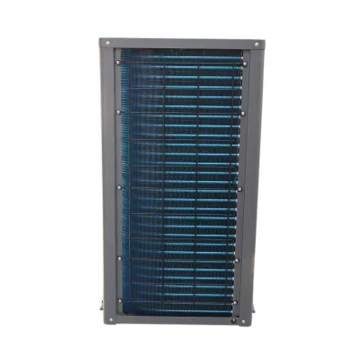 Pompa de caldura aer-apa monobloc 12KW, 380V, 	A+++ IPX4 SPRSUN - imagine 7