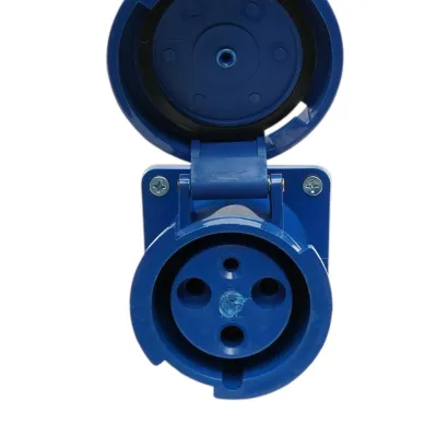 Priza industriala aplicata monofazica 220-250V, 63A-6h, 2P+PE IP67 Breckner Germany - imagine 7