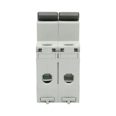 Siguranta automata intrerupator MCB 2P 10A 415VAC Longroad - imagine 2