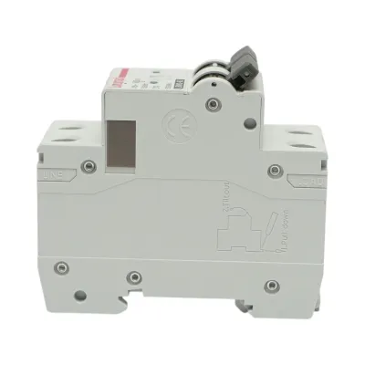 Siguranta automata intrerupator MCB 2P 10A 415VAC Longroad - imagine 3