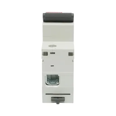 Siguranta automata intrerupator MCB 1P, 100A 240VAC, 6kA Longroad - imagine 5