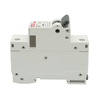 Siguranta automata intrerupator MCB 1P, 100A 240VAC, 6kA Longroad - imagine 4