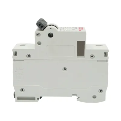 Siguranta automata intrerupator MCB 1P, 100A 240VAC, 6kA Longroad - imagine 2