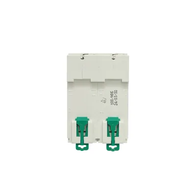 Siguranta automata tip intrerupator 2P, 100A 400V, 4.5kA Suntree - imagine 2
