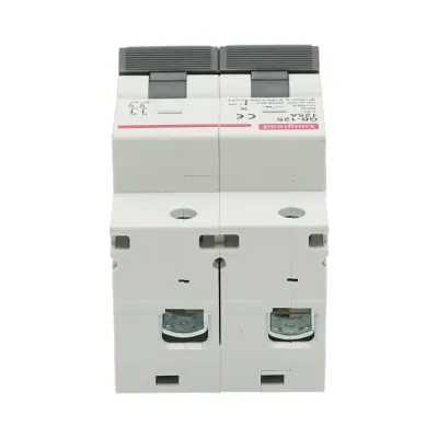 Siguranta automata intrerupator MCB 2P, 125A 415VAC, 6kA Longroad - imagine 4