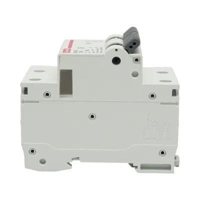 Siguranta automata intrerupator MCB 2P, 125A 415VAC, 6kA Longroad - imagine 3