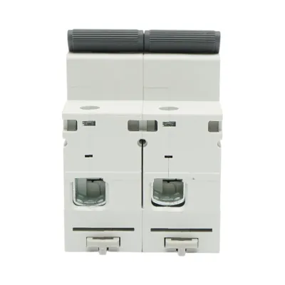 Siguranta automata intrerupator MCB 2P, 125A 415VAC, 6kA Longroad - imagine 2