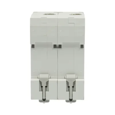 Siguranta automata intrerupator MCB 2P, 125A 415VAC, 6kA Longroad - imagine 5