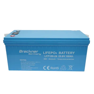Baterie LiFePO4 2.56kW Li-ion 25.6V, 100Ah cu BMS, Bluetooth, LCD display si protectie temperatura Breckner Germany