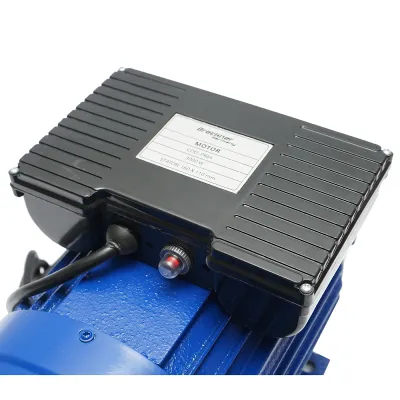 Motor electric monofazat 3KW, 220V cu protectie termica, stator 160x110mm Breckner Germany - imagine 5