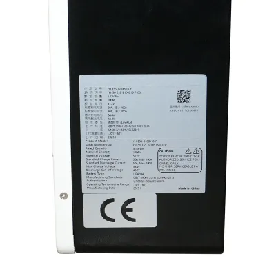 Baterie Li-ion LiFePO4 51.2V, 100Ah cu BMS, bluetooth, display LCD 550x360x140mm IP54 - imagine 6