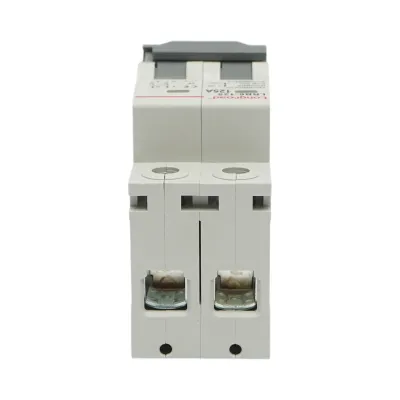 Separator, intrerupator de suprasarcina automat 2P, 125A, 550VDC Longroad - imagine 6