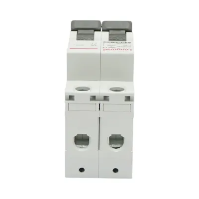 Siguranta automata intreruptor MCB 2P 32A 415VAC Longroad - imagine 6