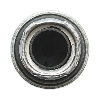 Cap buton comanda negru Ø 22mm LAY5 Breckner Germany - imagine 6