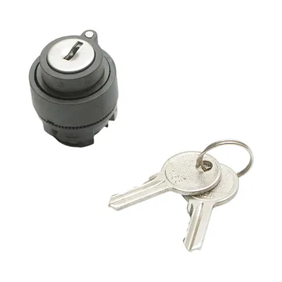 Cap buton selector 2 pozitii revenire cu cheie Ø 22mm LAY5 Breckner Germany - imagine 2