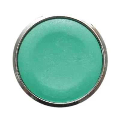 Cap buton comanda verde Ø 22mm ZBE Breckner Germany - imagine 4