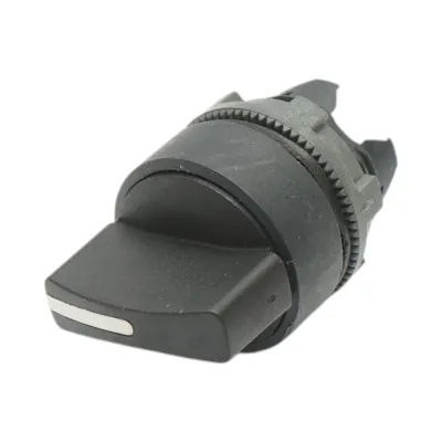 Cap buton selector 2 pozitii cu retinere Ø 22mm ZBE Breckner Germany - imagine 2