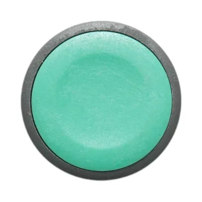 Cap buton comanda verde Ø 22mm ZBE Breckner Germany - imagine 4