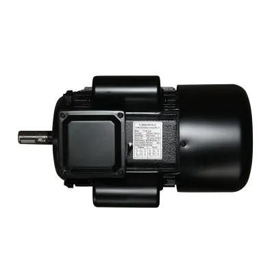 Motor electric monofazat 3KW, 220V, 2800rpm cu bobinaj si carcasa aluminiu IP44 Breckner Germany - imagine 4