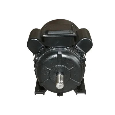 Motor electric monofazat 3KW, 220V, 2800rpm cu bobinaj si carcasa aluminiu IP44 Breckner Germany - imagine 2