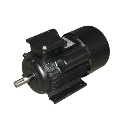 Motor electric monofazat 3KW, 220V, 2800rpm cu bobinaj si carcasa aluminiu IP44 Breckner Germany